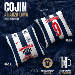 cojin alianza vista 1